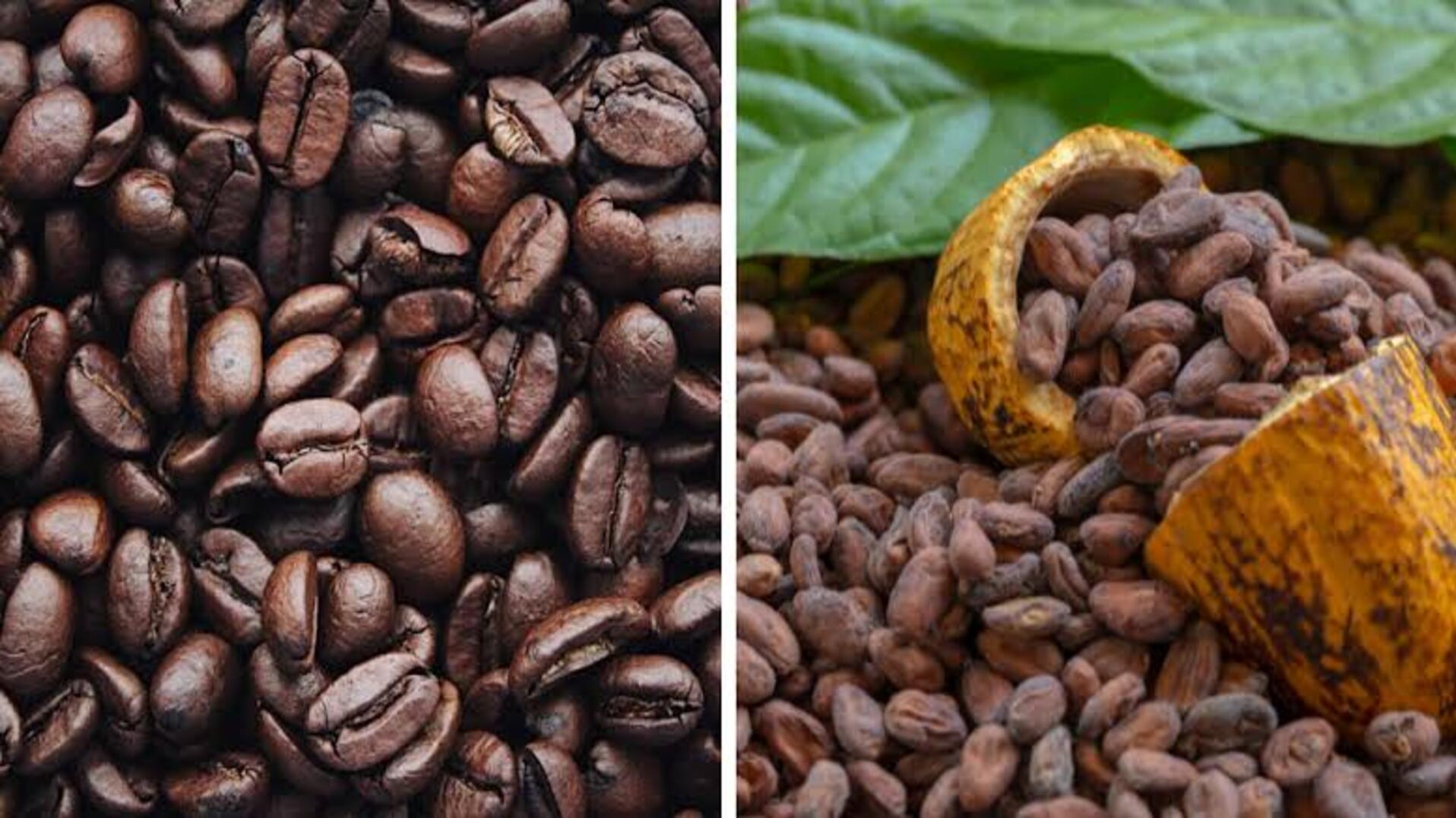 Côte d’Ivoire sets cocoa price at 1,200 CFA francs per kg for 2026–2027 season